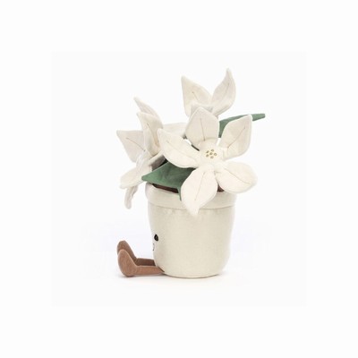 Jellycat Gold Poinsettia Australia | 841796JQO